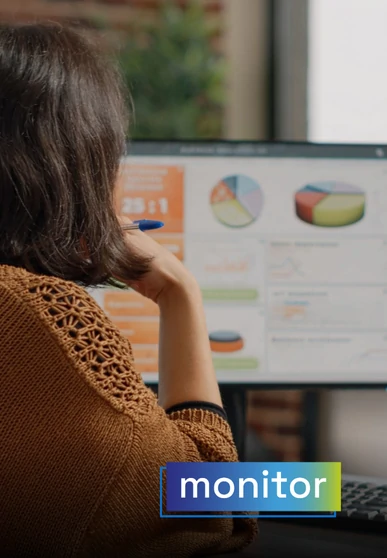 Woman observing charts and data on her computer screen, representing the analysis and monitoring of web accessibility compliance. Overlaid text: "monitor".